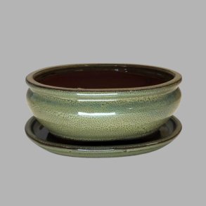 Bonsai-skl, str. 3, glaseret, rund oval, oliven