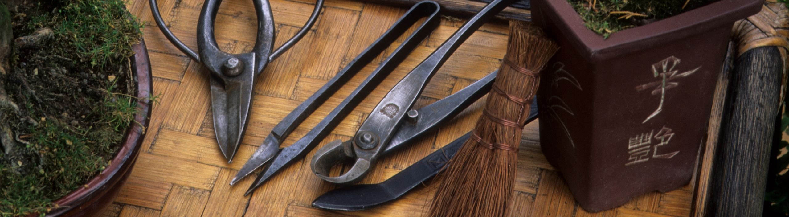 Bonsai f&ouml;r alla