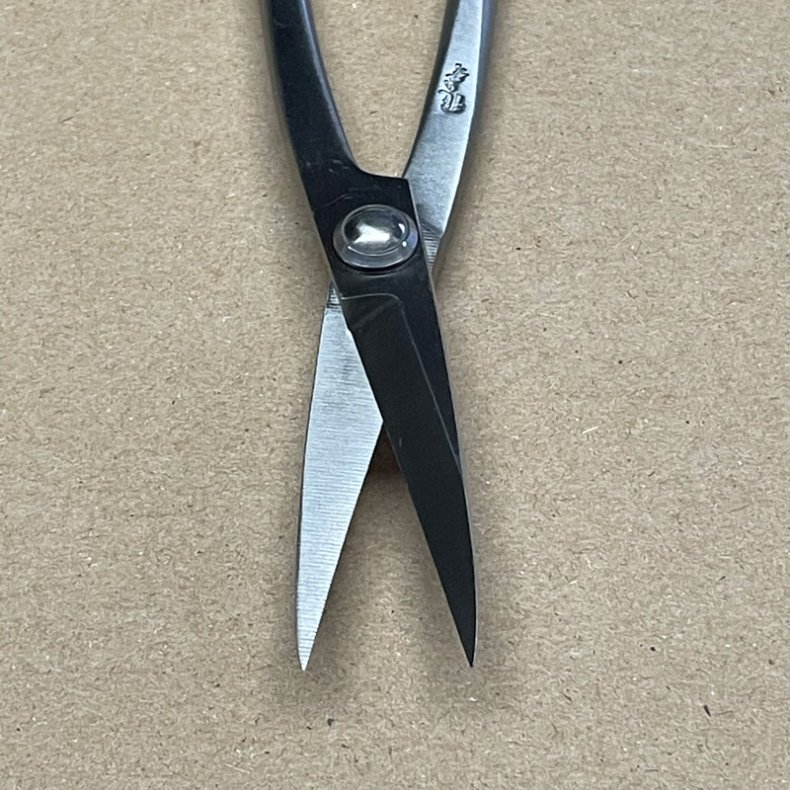 Ryuga: <br> Bonsai-Saks