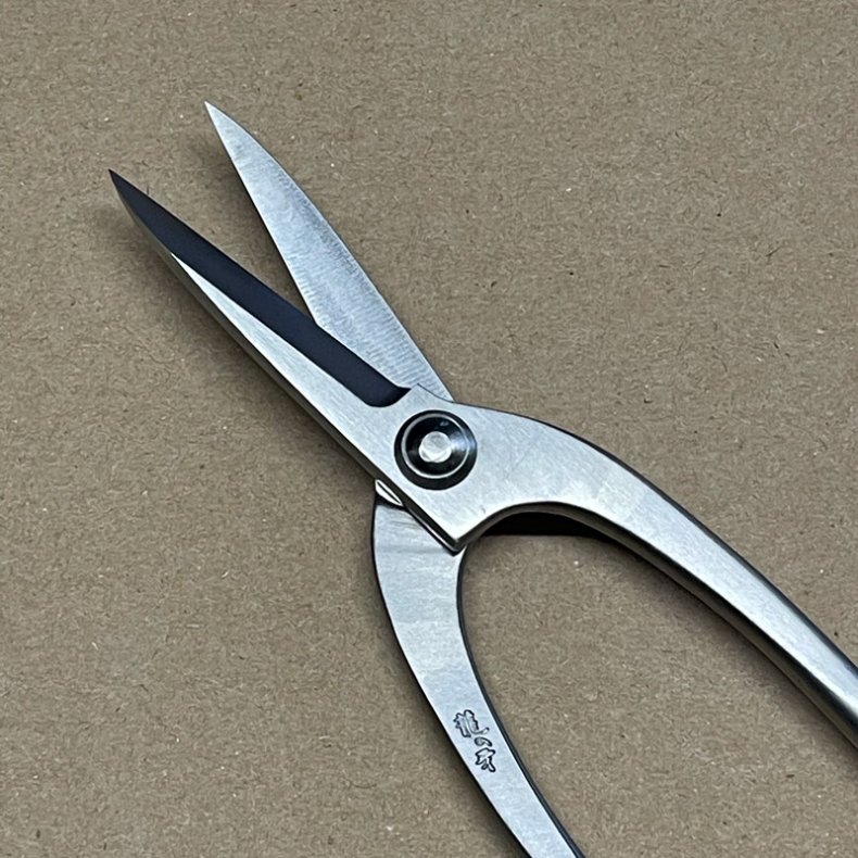 Ryuga: <br> Bonsai-Saks