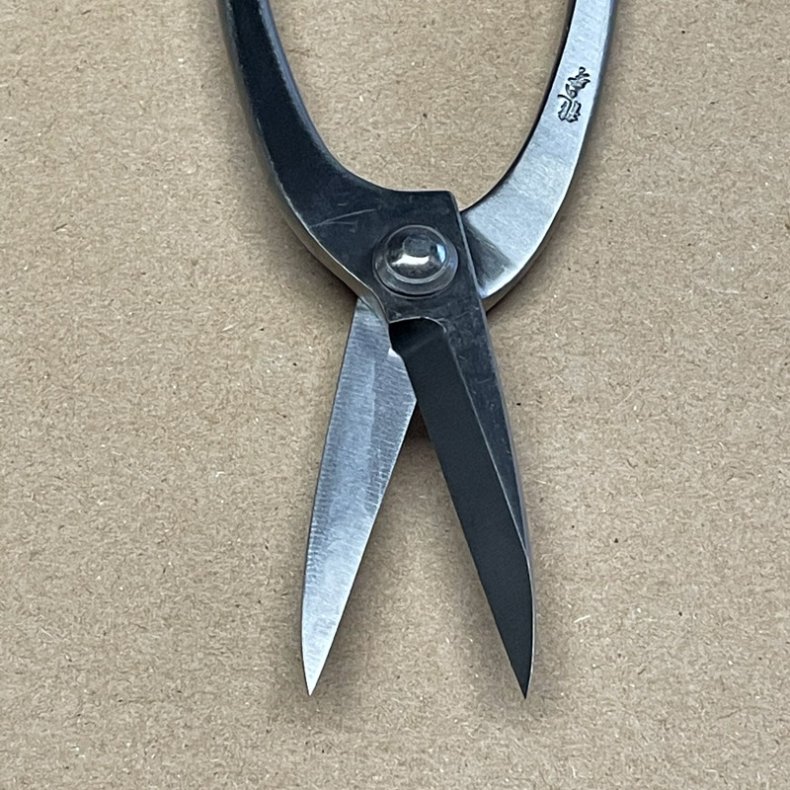 Ryuga: <br> Bonsai-Saks