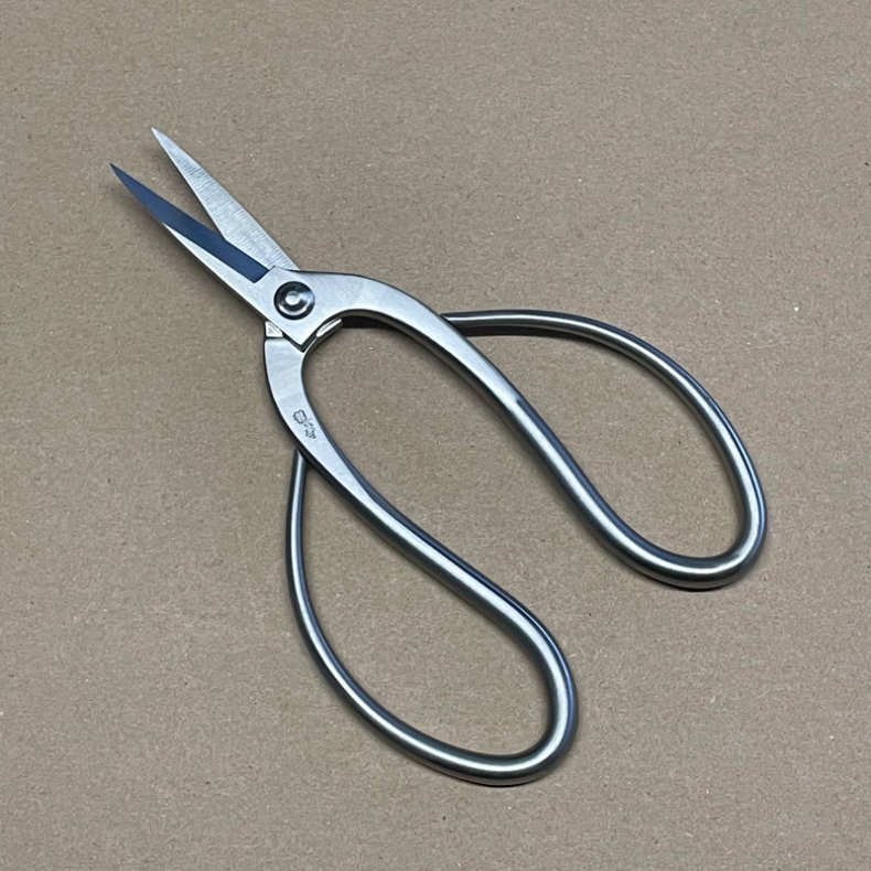 Ryuga: <br> Bonsai-Saks, traditionel