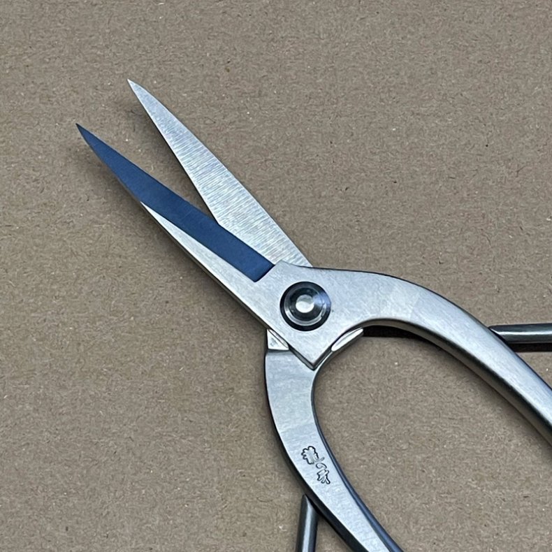 Ryuga: <br> Bonsai-Saks, traditionel