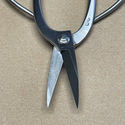 Ryuga: <br> Bonsai-Saks, traditionel