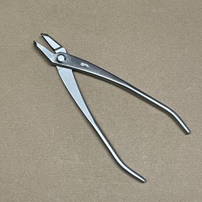 Ryuga: <br> Bonsai-Jintang