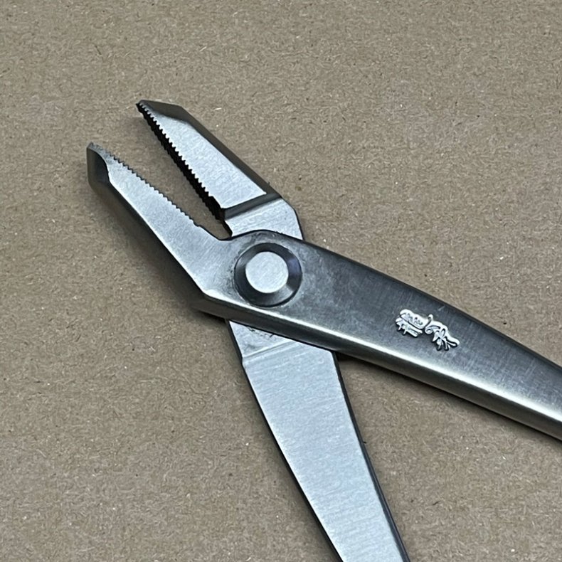 Ryuga: <br> Bonsai-Jintang