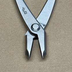 Ryuga: <br> Bonsai-Jintang