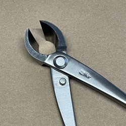 Ryuga: <br> Bonsai-Grentang