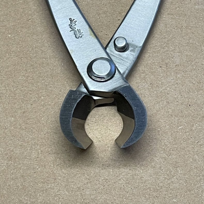 Ryuga: <br> Bonsai-Grentang