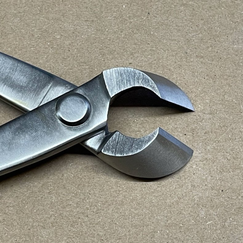 Ryuga: <br> Bonsai-Grentang