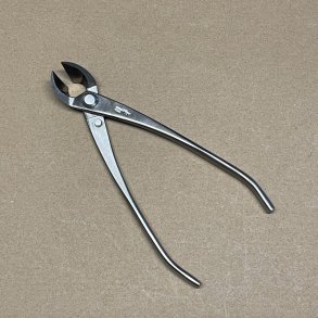 Ryuga: <br> Bonsai-Grentang (SHOHIN)