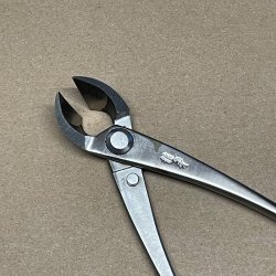 Ryuga: <br> Bonsai-Grentang (SHOHIN)