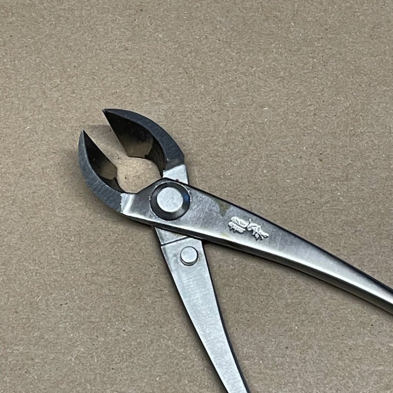 Ryuga: <br> Bonsai-Grentang (SHOHIN)