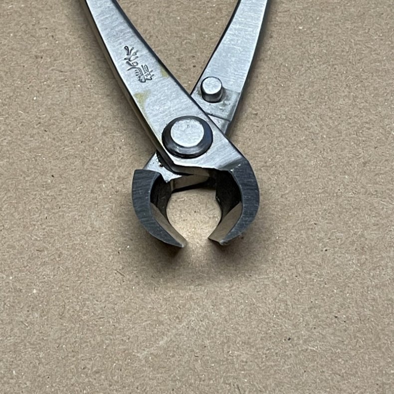 Ryuga: <br> Bonsai-Grentang (SHOHIN)