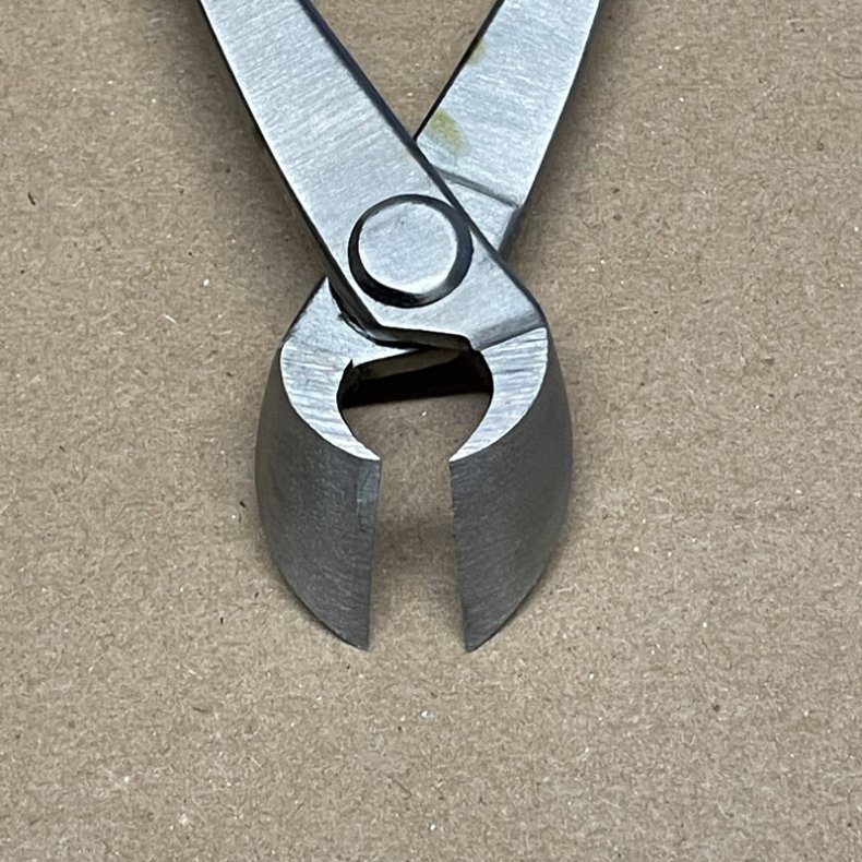 Ryuga: <br> Bonsai-Grentang (SHOHIN)