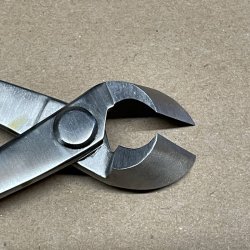 Ryuga: <br> Bonsai-Grentang (SHOHIN)