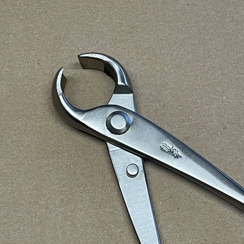 Ryuga: <br> Bonsai-Knoptang