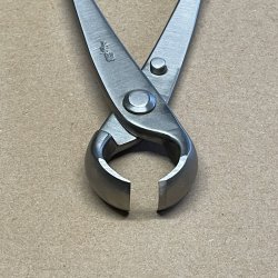 Ryuga: <br> Bonsai-Knoptang