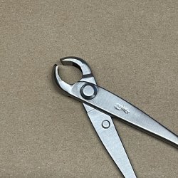 Ryuga: <br> Bonsai-Knoptang (SHOHIN)