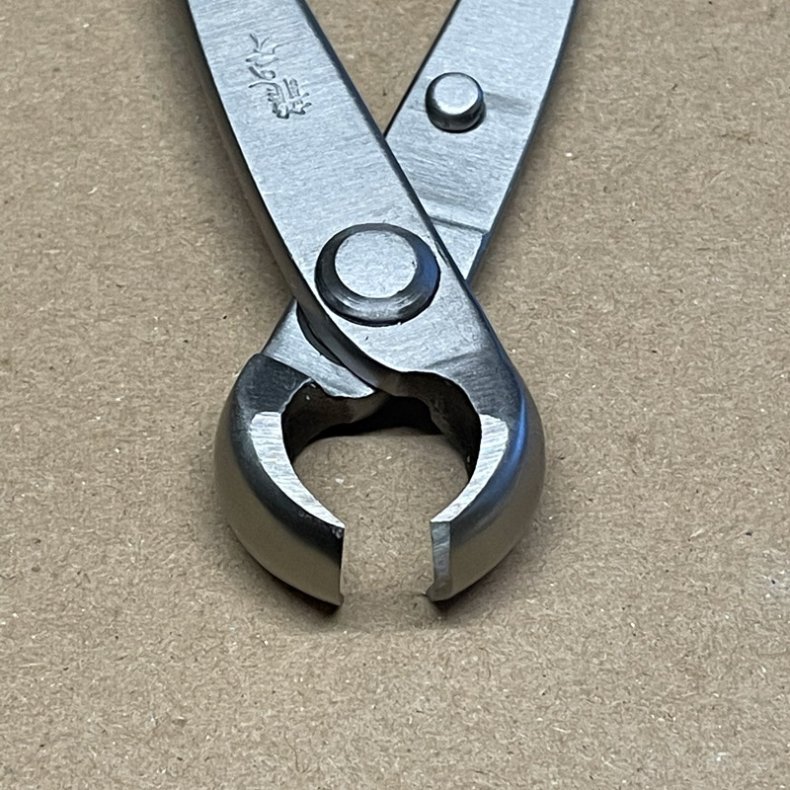 Ryuga: <br> Bonsai-Knoptang (SHOHIN)