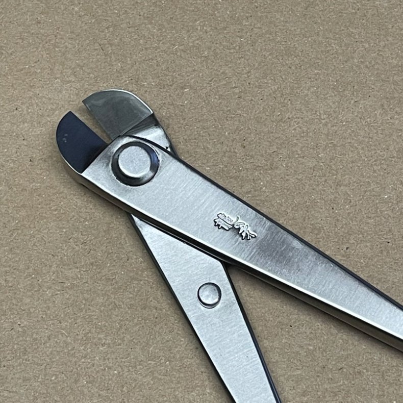 Ryuga: <br> Bonsai-Wiretang