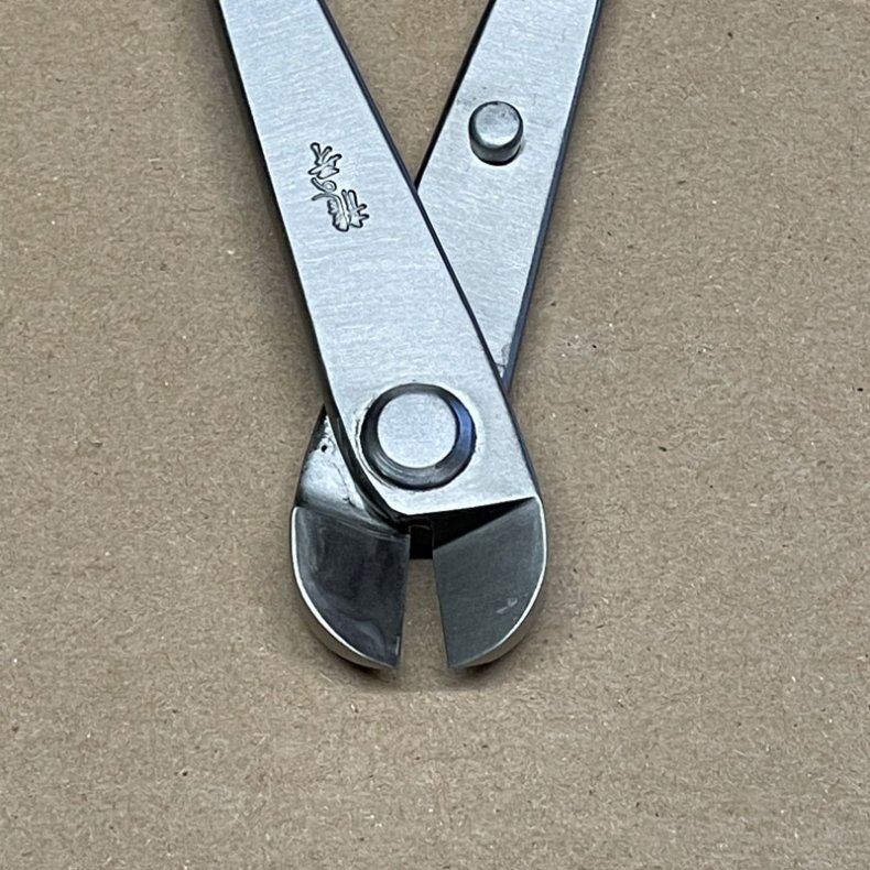 Ryuga: <br> Bonsai-Wiretang