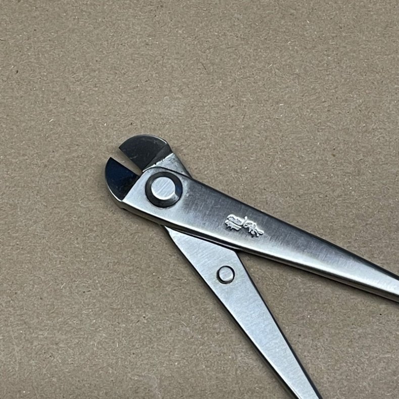 Ryuga: <br> Bonsai-Wiretang (SHOHIN)