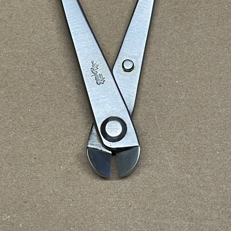 Ryuga: <br> Bonsai-Wiretang (SHOHIN)