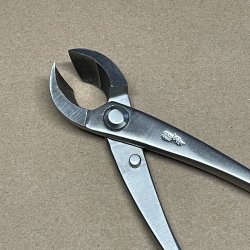 Ryuga: <br> Bonsai-Knop- og Grentang