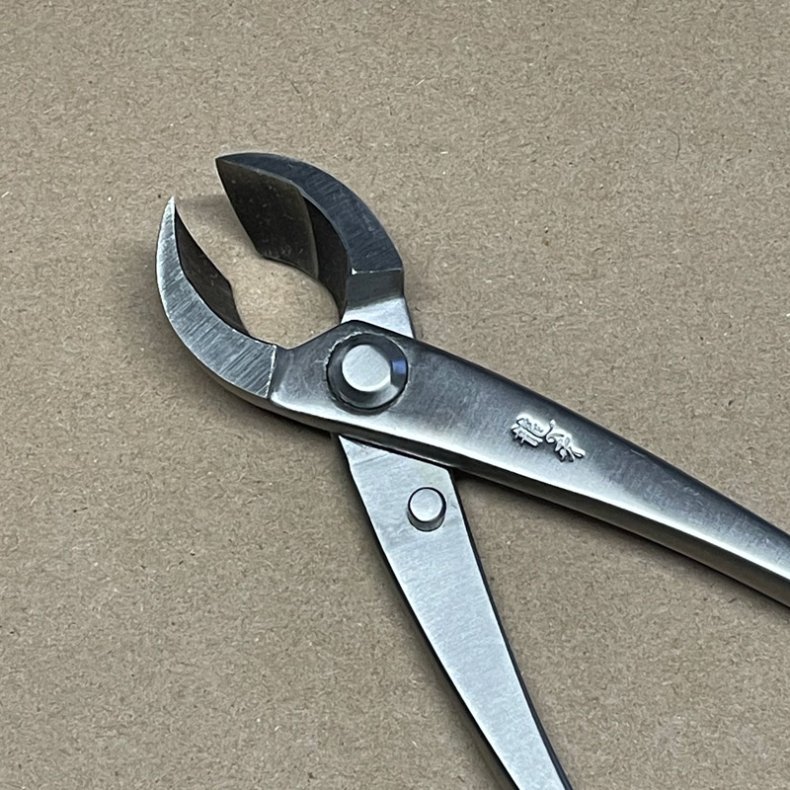 Ryuga: <br> Bonsai-Knop- og Grentang