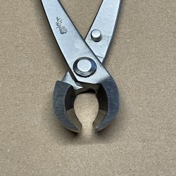 Ryuga: <br> Bonsai-Knop- og Grentang