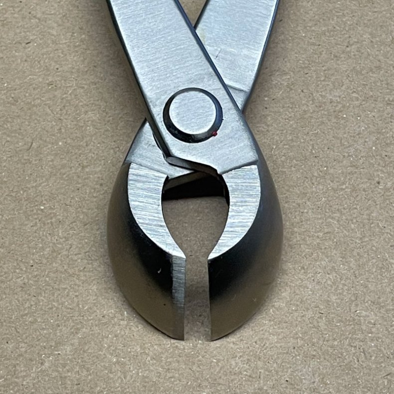 Ryuga: <br> Bonsai-Knop- og Grentang