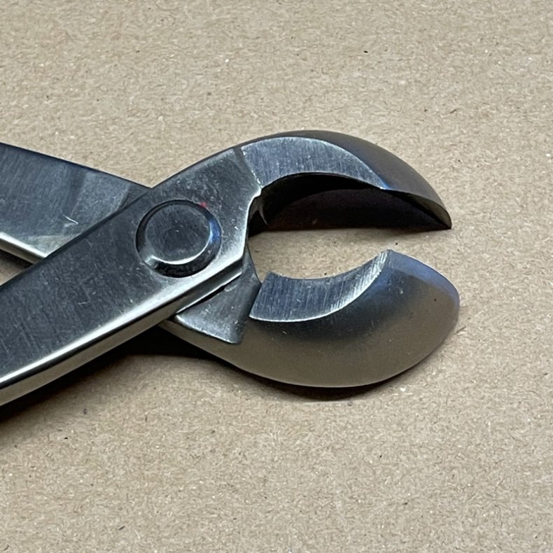 Ryuga: <br> Bonsai-Knop- og Grentang