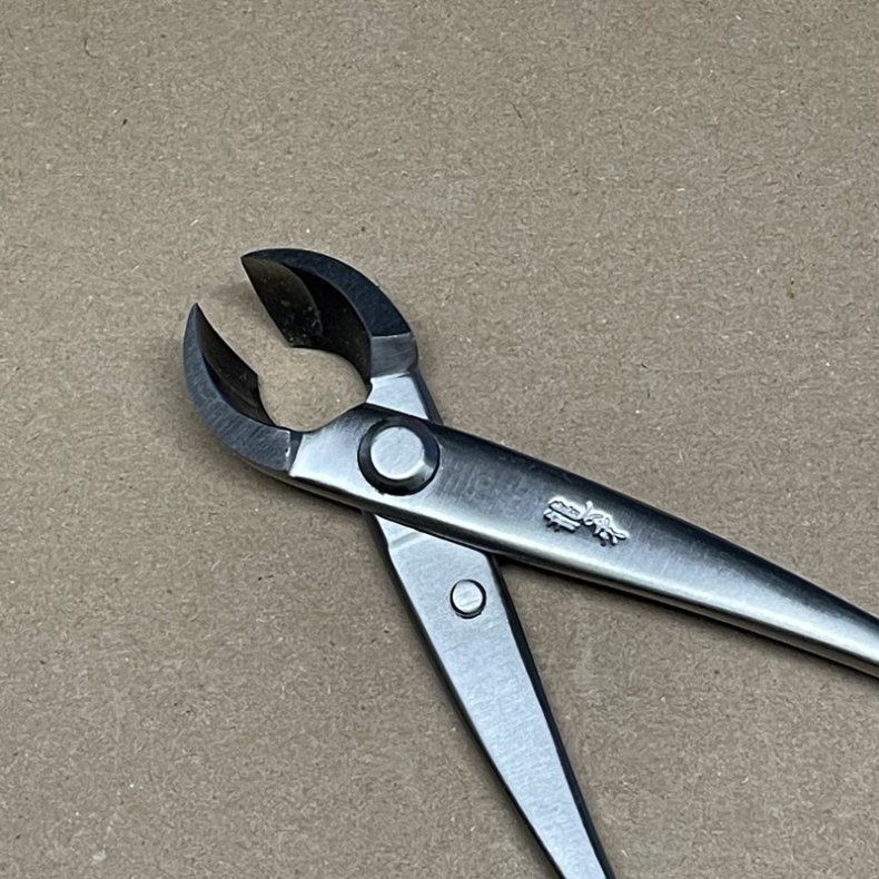 Ryuga: <br> Bonsai-Knop- og Grentang (SHOHIN)