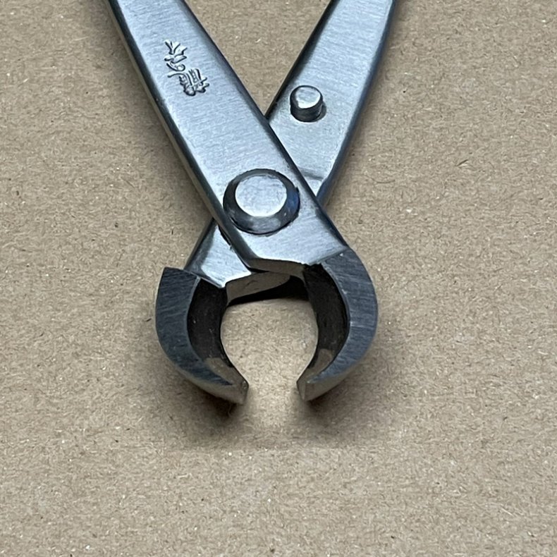 Ryuga: <br> Bonsai-Knop- og Grentang (SHOHIN)