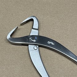 Ryuga: <br> Bonsai-Stammetang