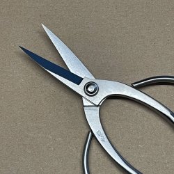 Ryuga: <br> Bonsai-Saks, traditionel (SHOHIN)