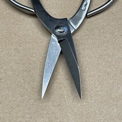 Ryuga: <br> Bonsai-Saks, traditionel (SHOHIN)