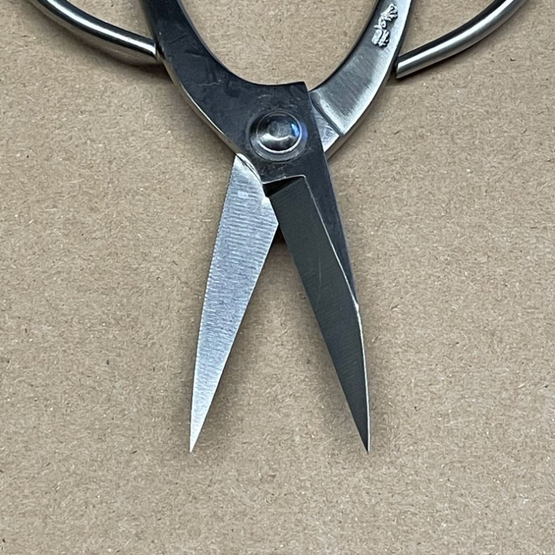 Ryuga: <br> Bonsai-Saks, traditionel (SHOHIN)