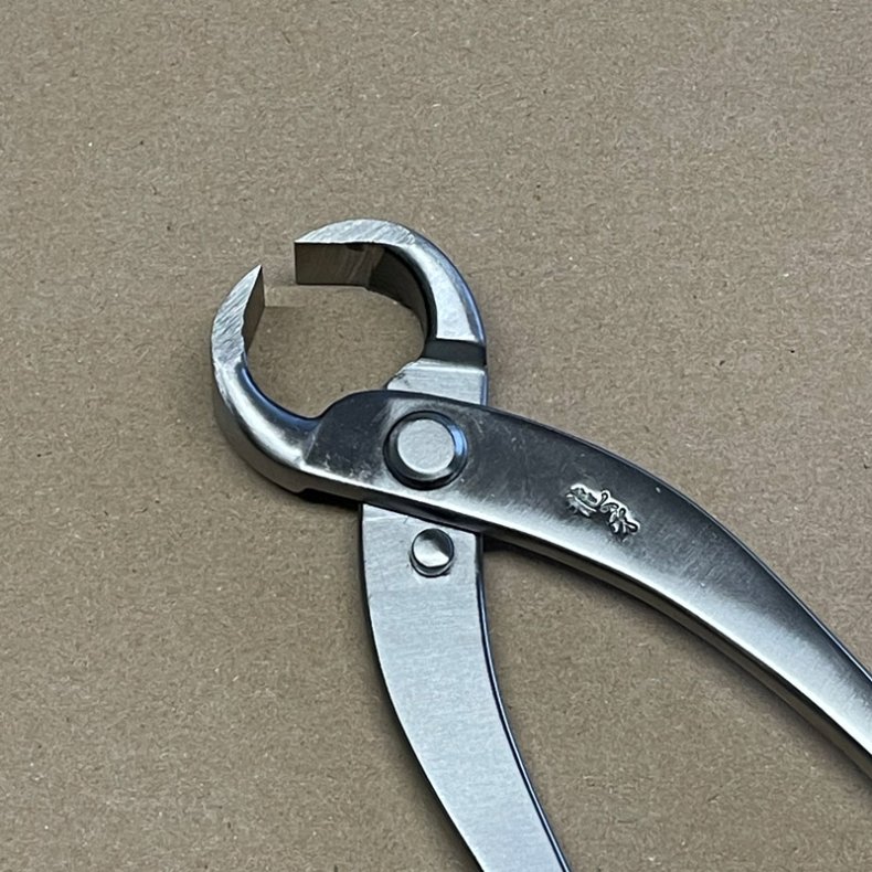 Ryuga: <br> Bonsai-Rodtang