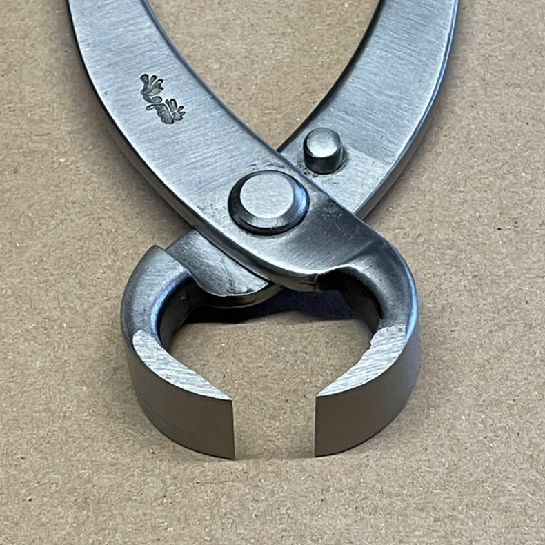 Ryuga: <br> Bonsai-Rodtang