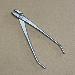 Ryuga: <br> Bonsai-Jintang, vinklet