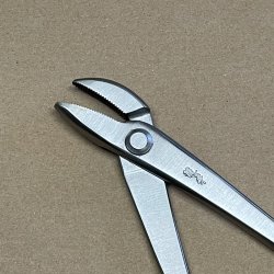 Ryuga: <br> Bonsai-Jintang, vinklet