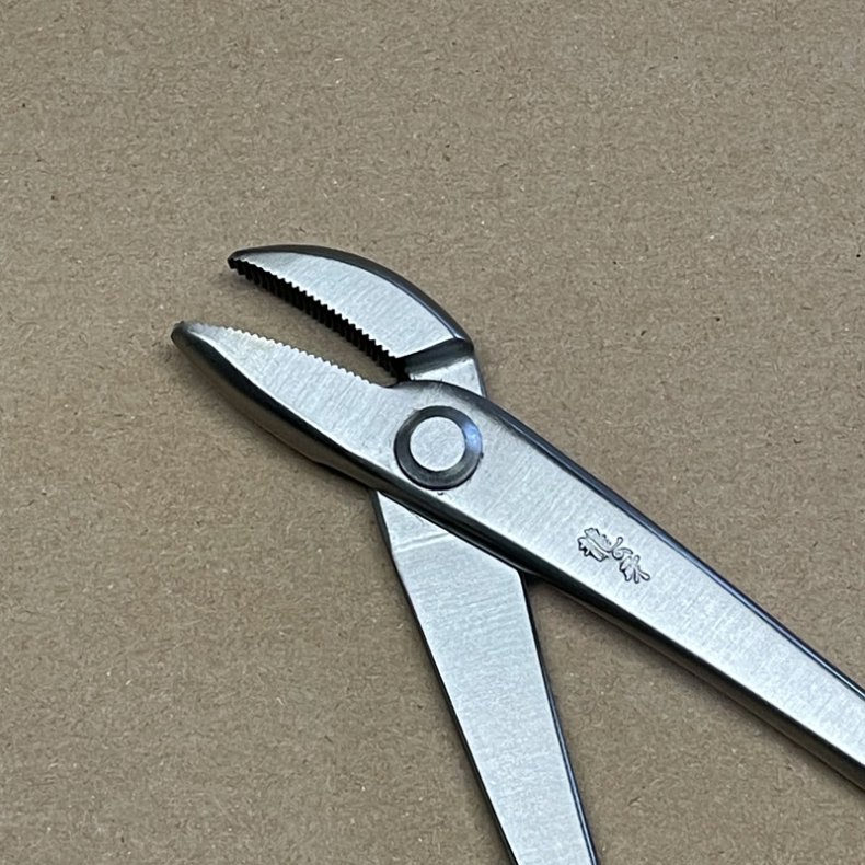 Ryuga: <br> Bonsai-Jintang, vinklet