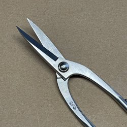 Ryuga: <br> Bonsai-Saks, buet