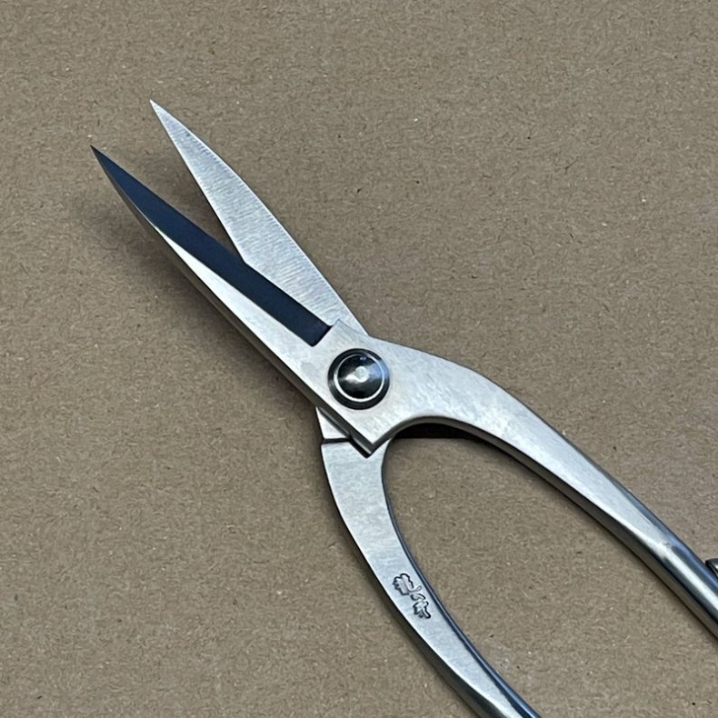 Ryuga: <br> Bonsai-Saks, buet