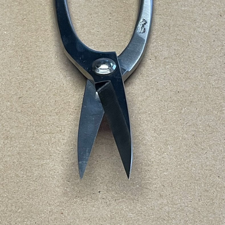 Ryuga: <br> Bonsai-Saks, buet