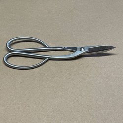 Ryuga: <br> Bonsai-Saks, buet