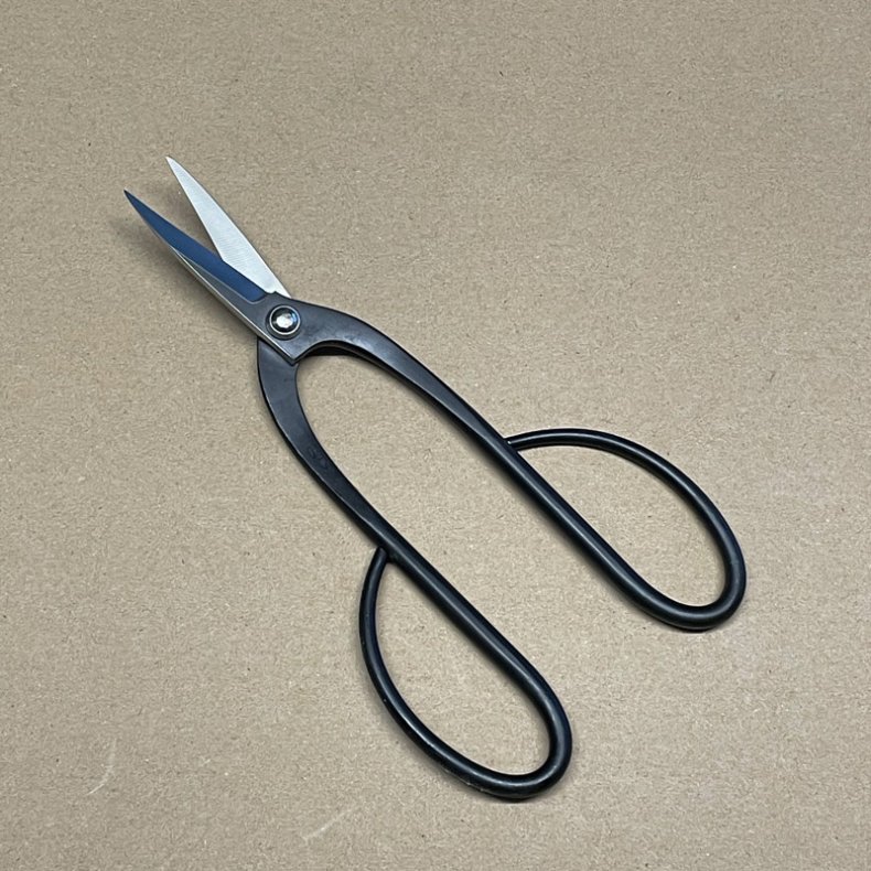 Ryuga: <br> Buet-saks