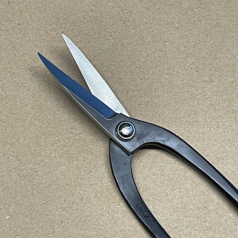 Ryuga: <br> Buet-saks